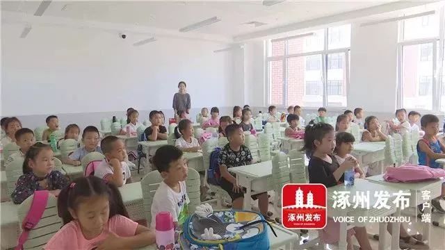 涿州市小学全新招聘启事，职位与要求一览