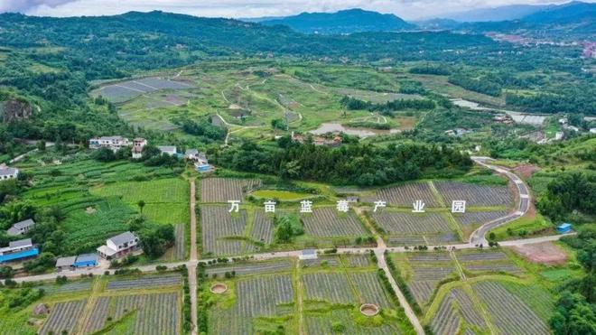 南田坪乡天气预报更新通知