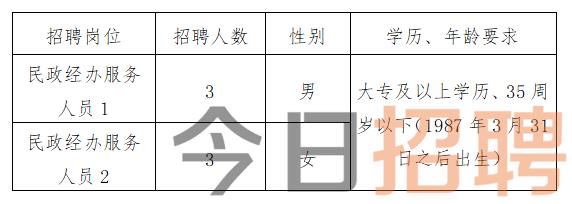 东区民政局最新招聘信息及相关内容深度探讨