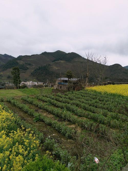 古昌村天气预报更新通知