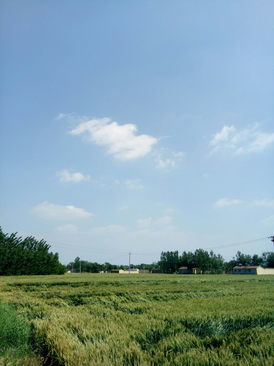 雄麦村天气预报更新通知