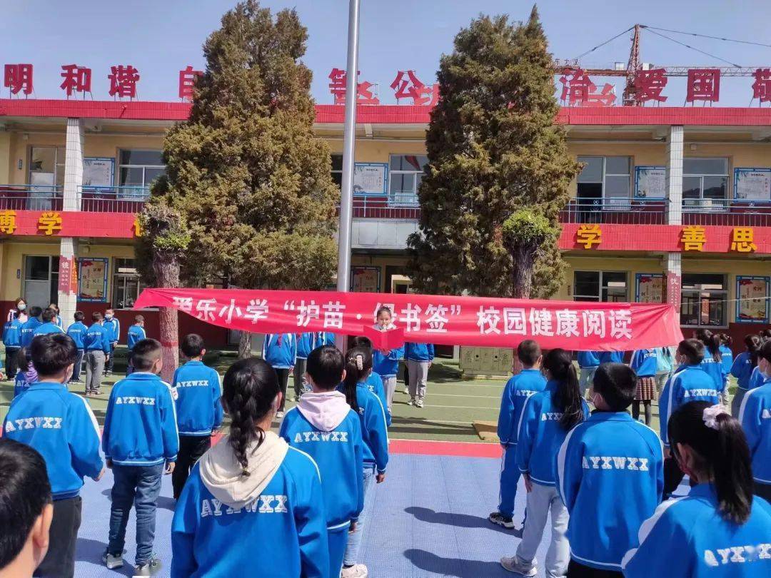 静乐县小学最新动态报道