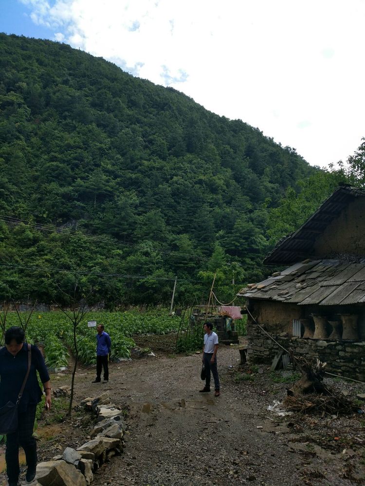 金堆村天气预报更新通知