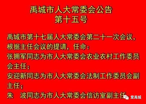 禹城市审计局人事任命揭晓，展望新任领导的影响与未来发展方向