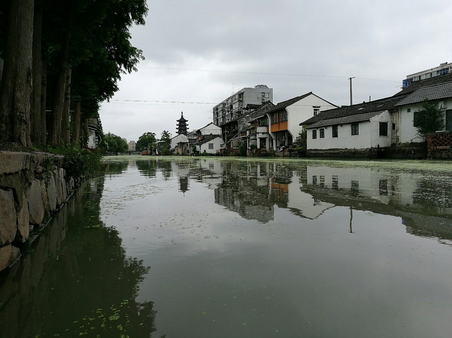 惠南镇最新天气预报通知