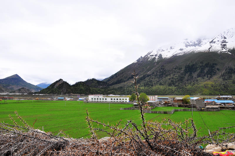 荒野游侠 第3页