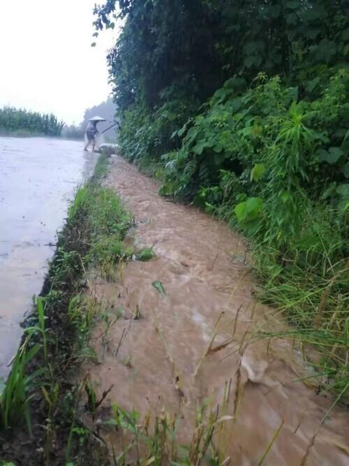 通江街道天气预报更新通知