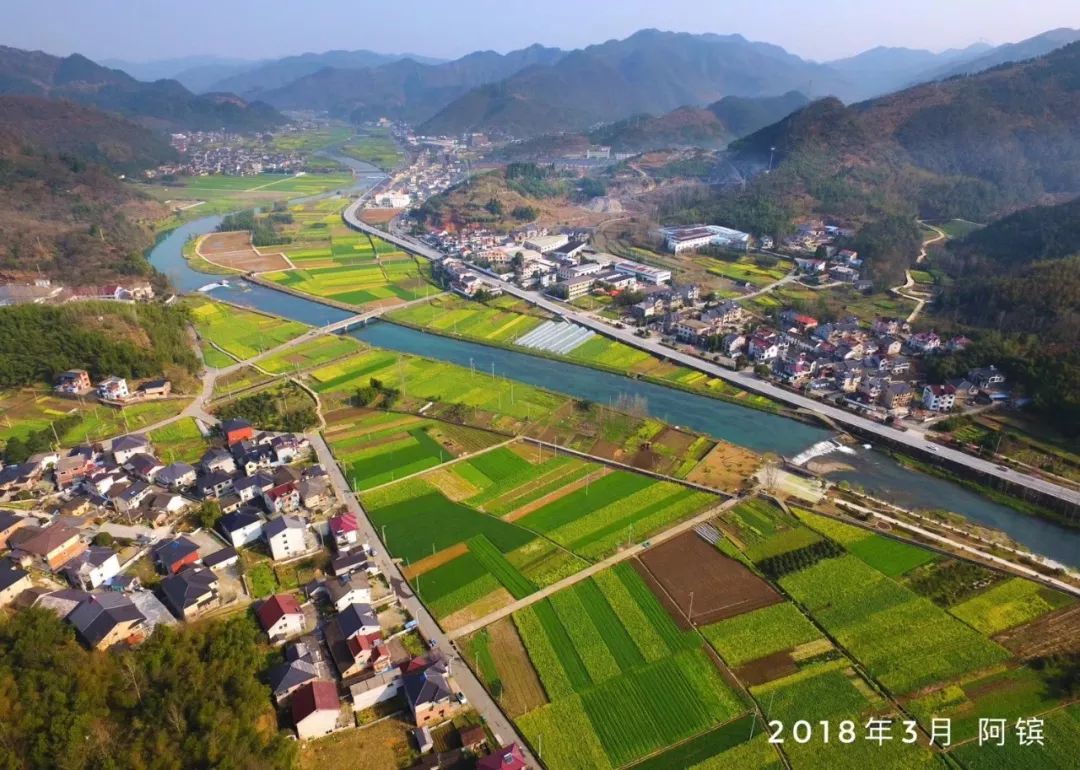 雨花泪 第4页