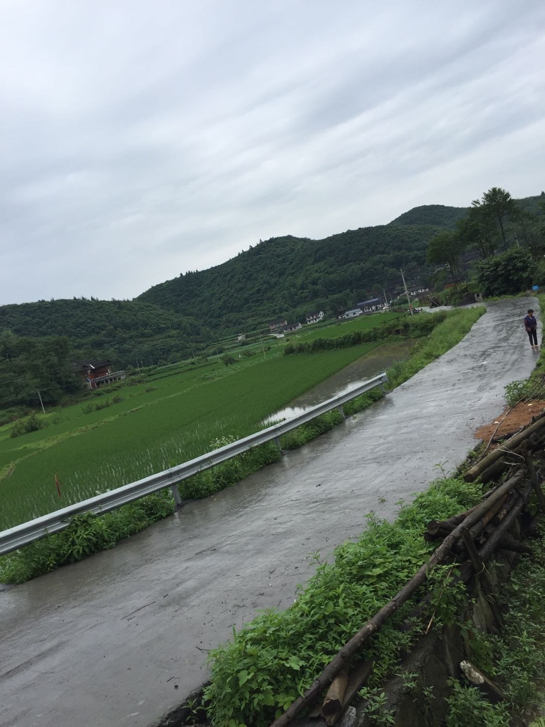 洛定村最新天气预报