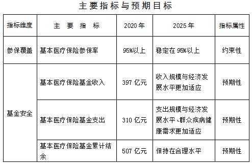 巩留县医疗保障局最新发展规划概览