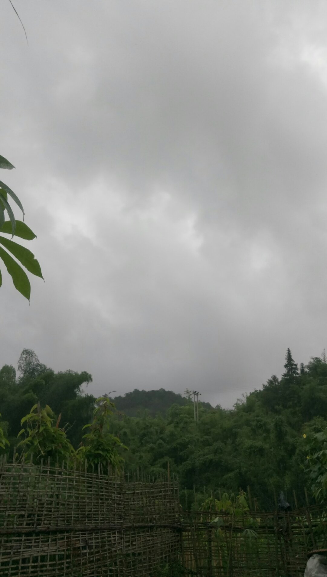 茶村天气预报更新通知