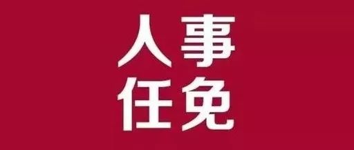 亭湖区审计局人事任命揭晓，深远影响的变革