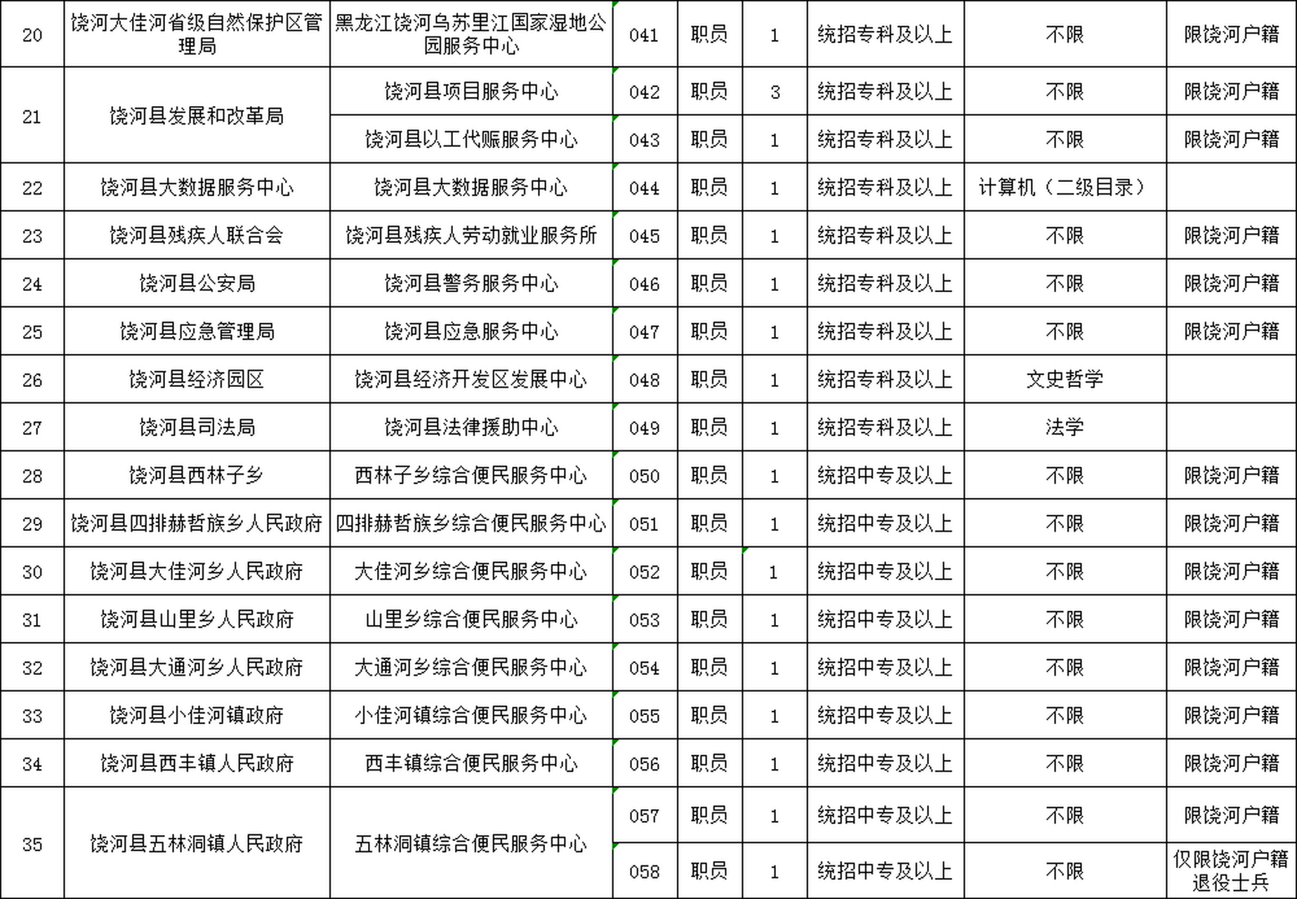 浔阳区数据和政务服务局招聘公告详解