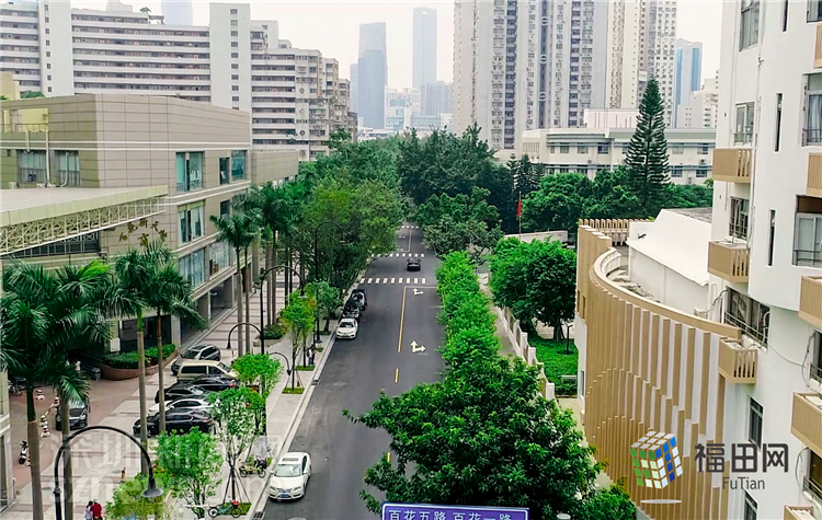 广场街道办事处最新天气预报详解，气象信息及生活建议全知道