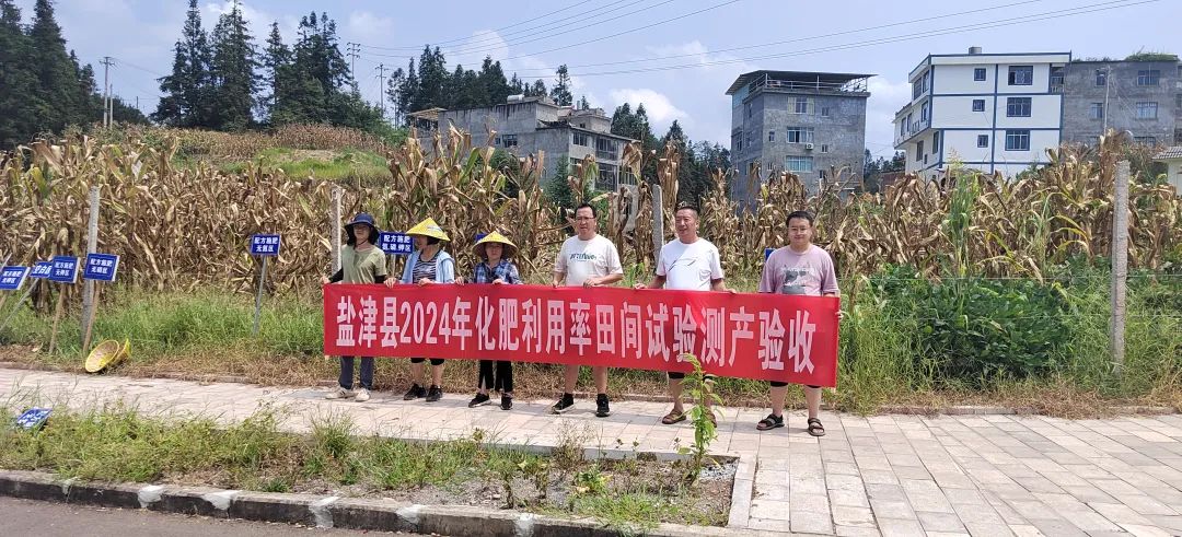 落雁乡重塑乡村魅力，引领地区发展新篇章启动项目