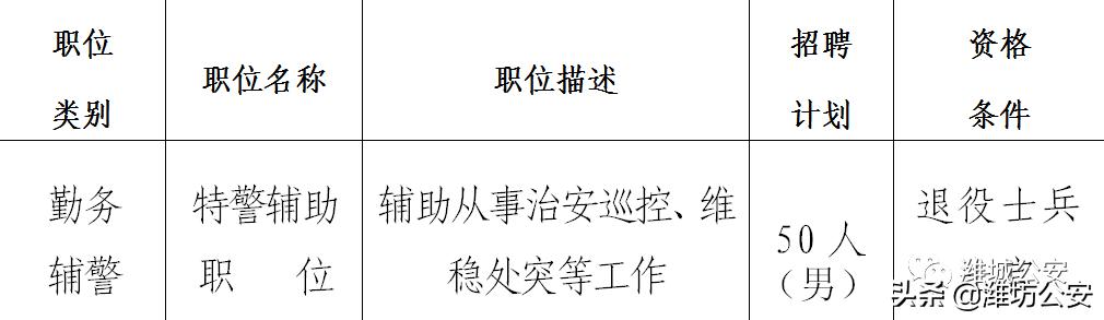 潍城区发展和改革局最新招聘启事概览