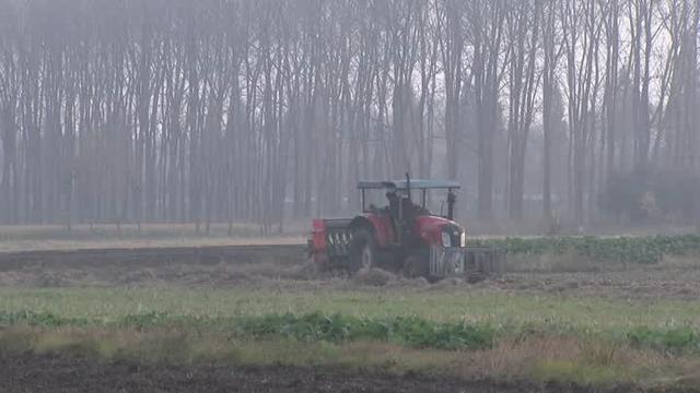 毕桥镇天气预报更新通知