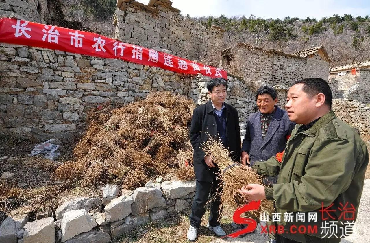 长治市水利局领导团队引领水利事业迈向新高度