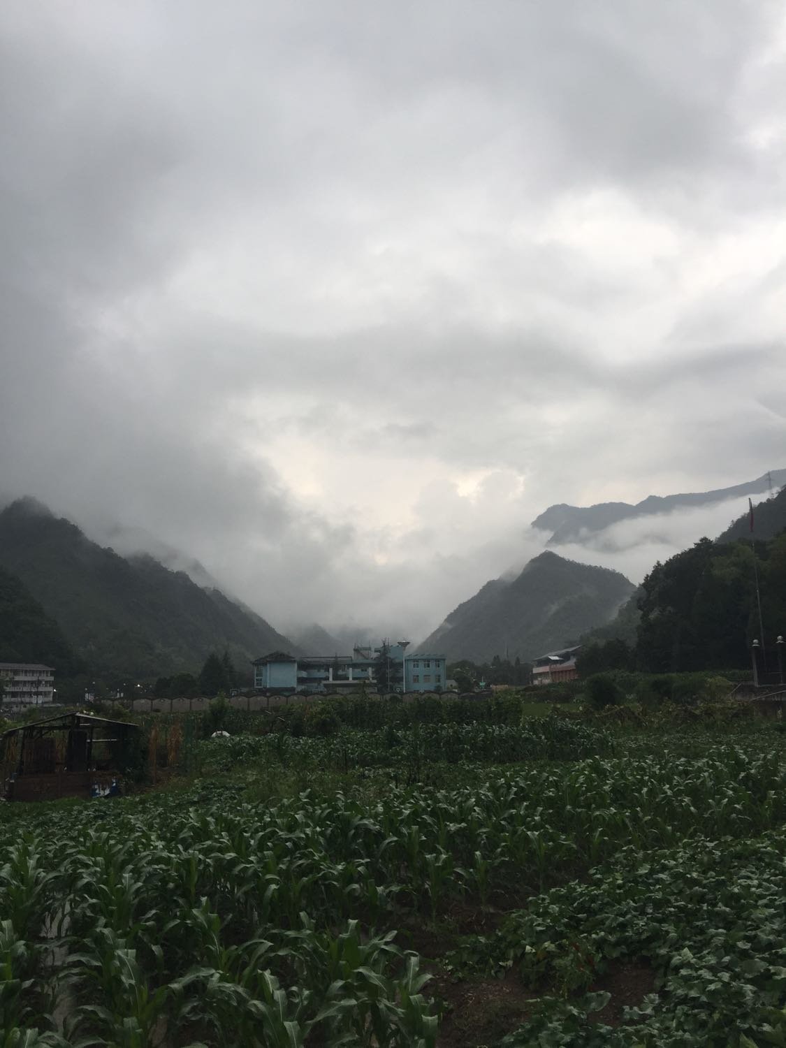 五道河乡天气预报更新通知