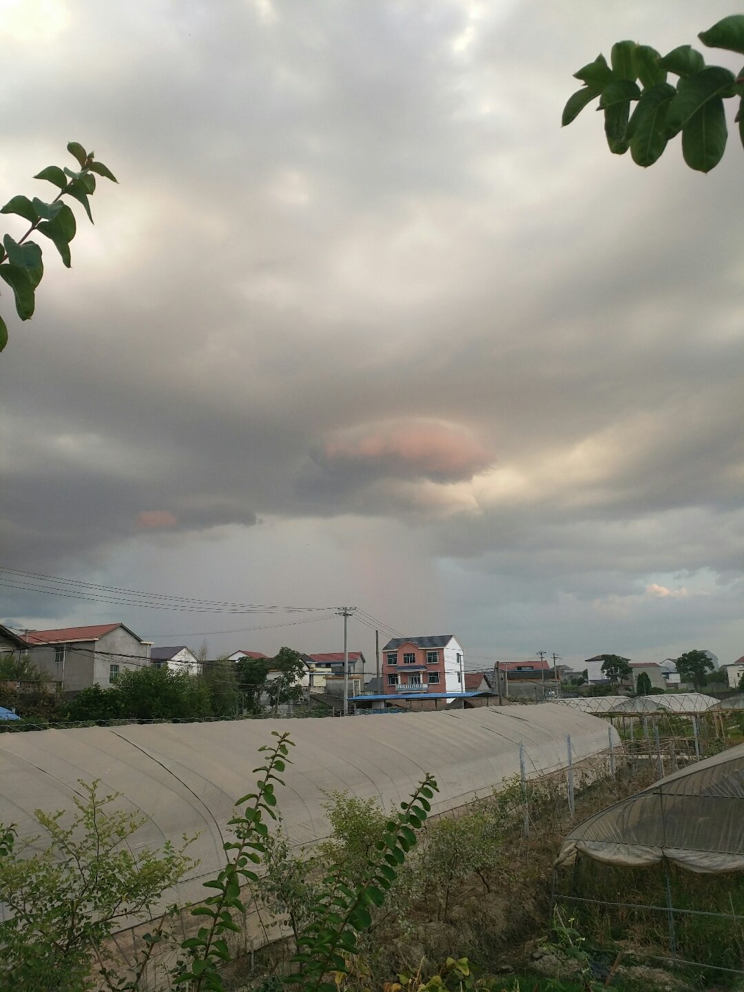 雨顺村委会最新天气预报