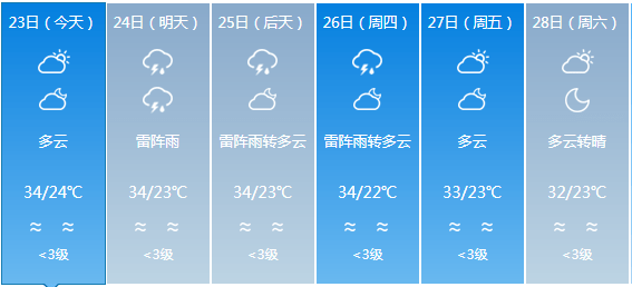 孤狼的吼声 第2页