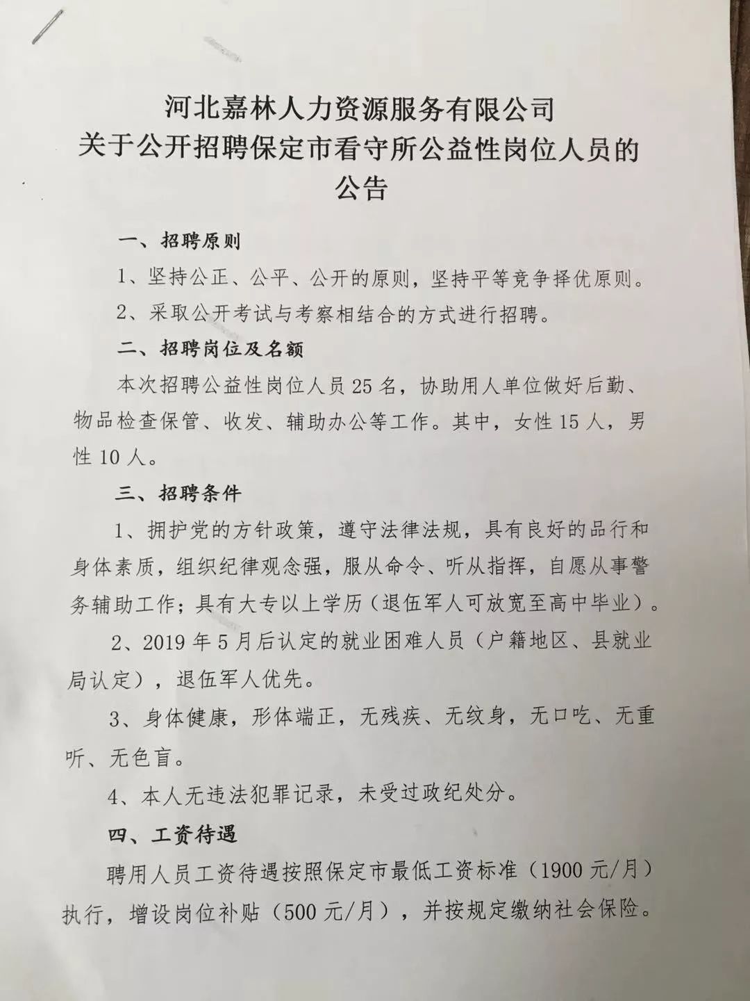 齐河县人民政府办公室最新招聘启事概览