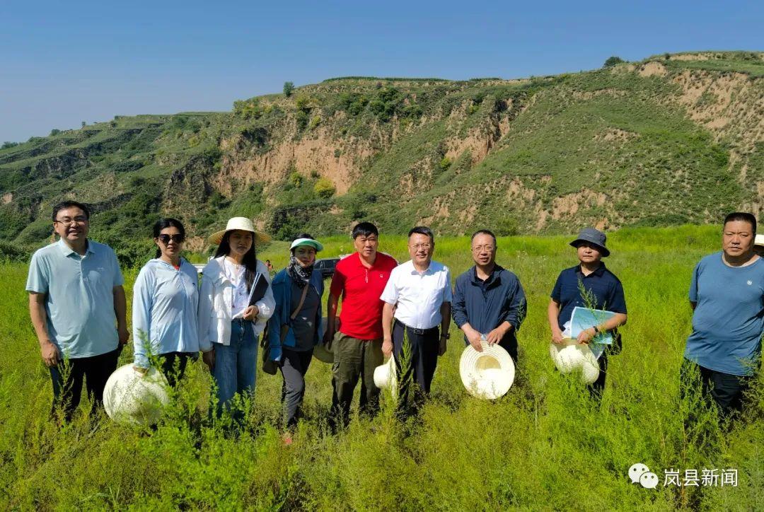 山西省吕梁市岚县岚城镇最新发展规划深度研究及展望