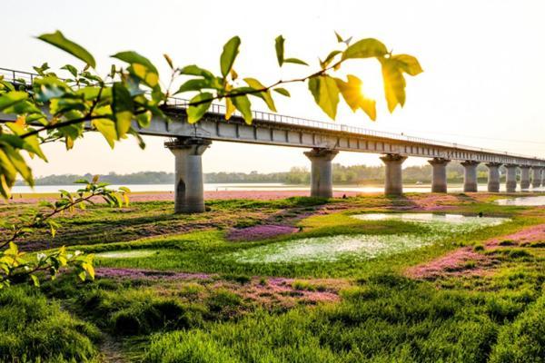 铜陵市旅游局发布最新消息