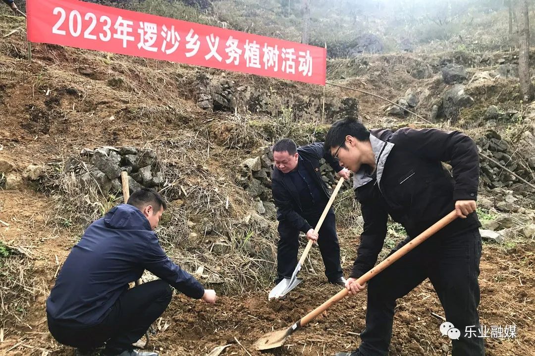 逻沙乡交通状况持续改善，助力地方发展新闻速递