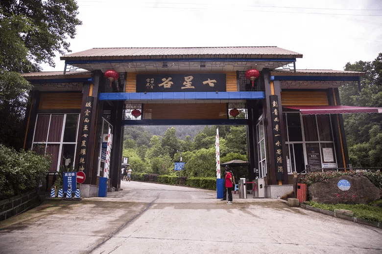 背荫河镇新领导团队，引领未来发展的新力量