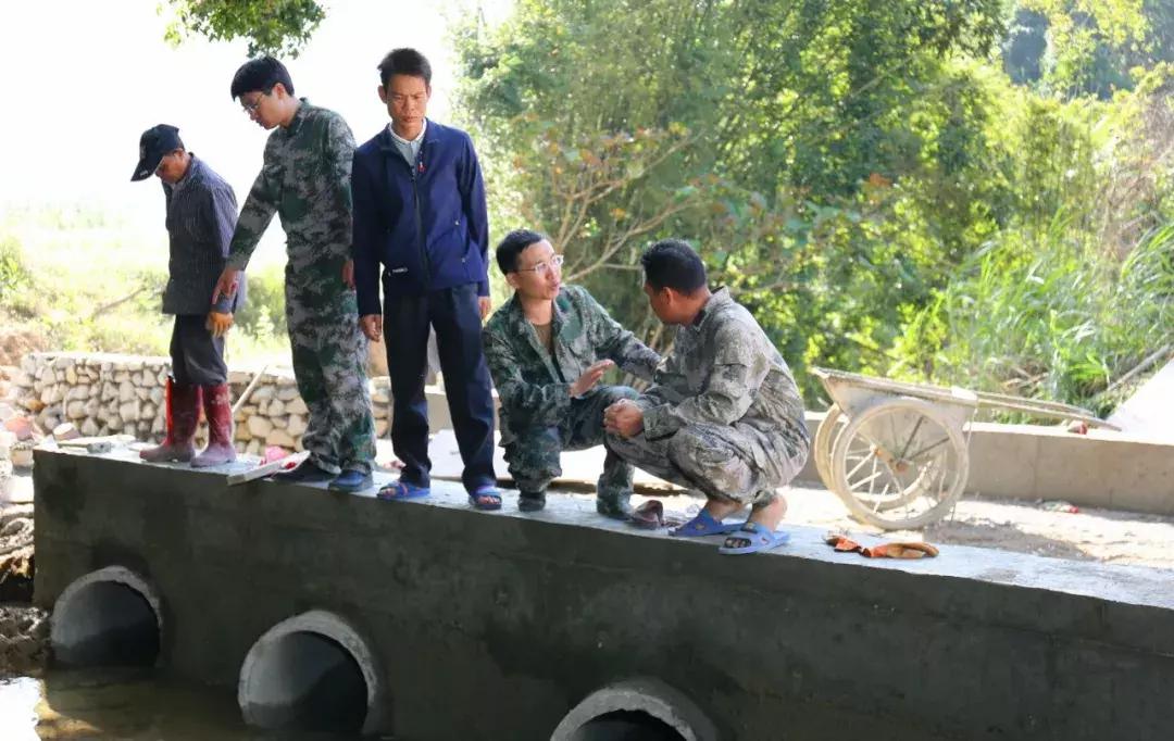 先锋村委会天气预报更新与应对建议