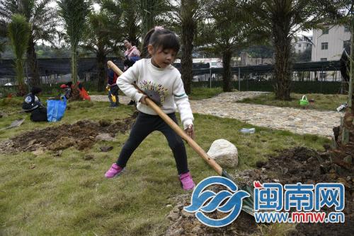 泉州市林业局最新项目，绿色生态建设的步伐与成果