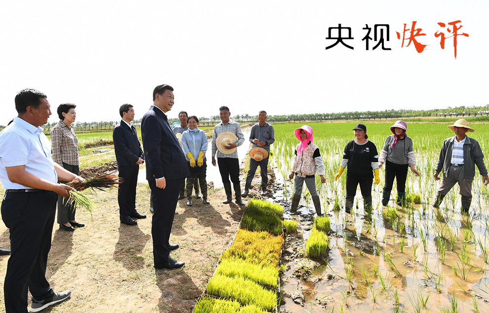 达古荣村的最新新闻与动态