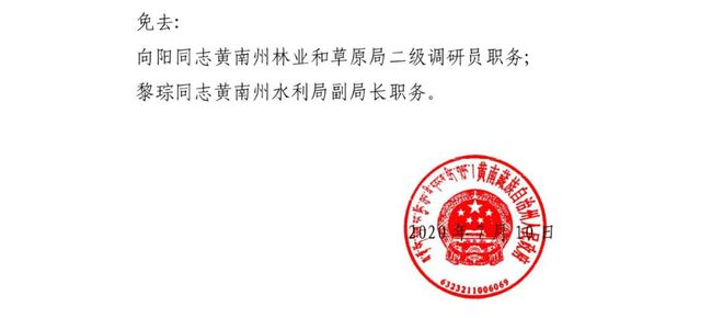 曼玛村委会人事任命揭晓，开启乡村治理新篇章