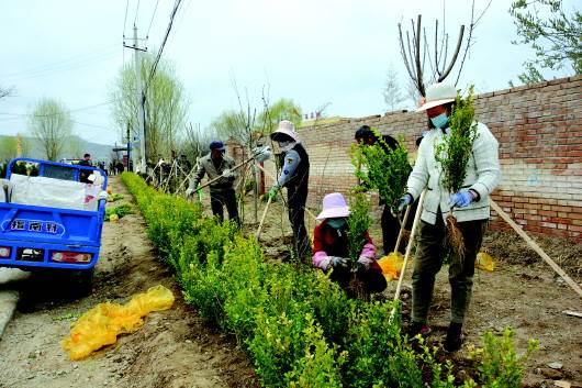 杨湾湾村委会最新动态报道