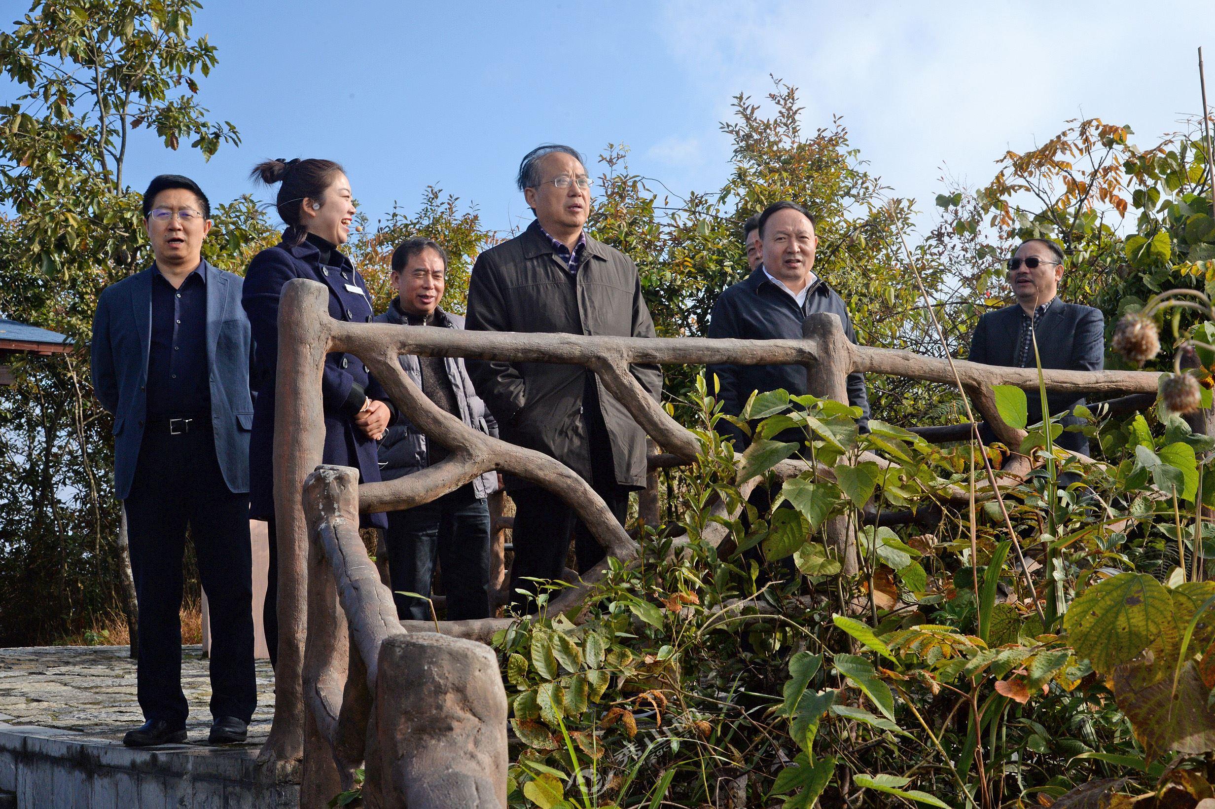 彭水苗族土家族自治县发展和改革局最新项目概览