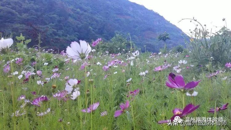 烟雨江南