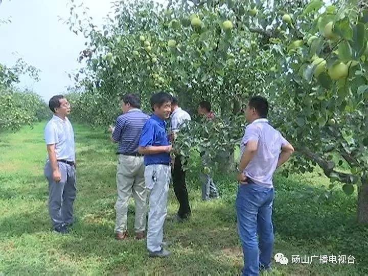 园艺试验场最新领导，引领绿色革命