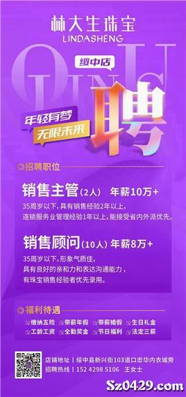 元善镇最新招聘信息全面解析