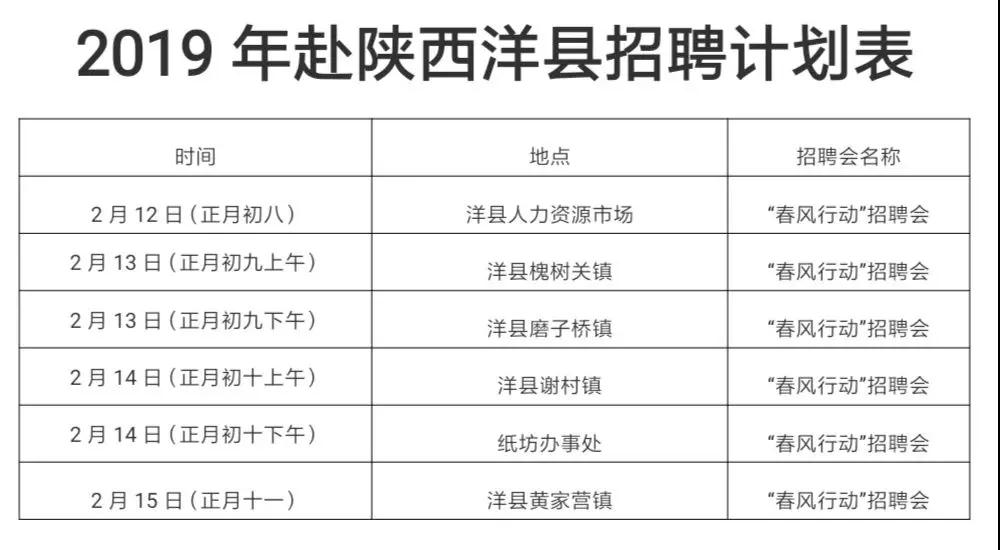 沙洋县教育局最新招聘公告概览