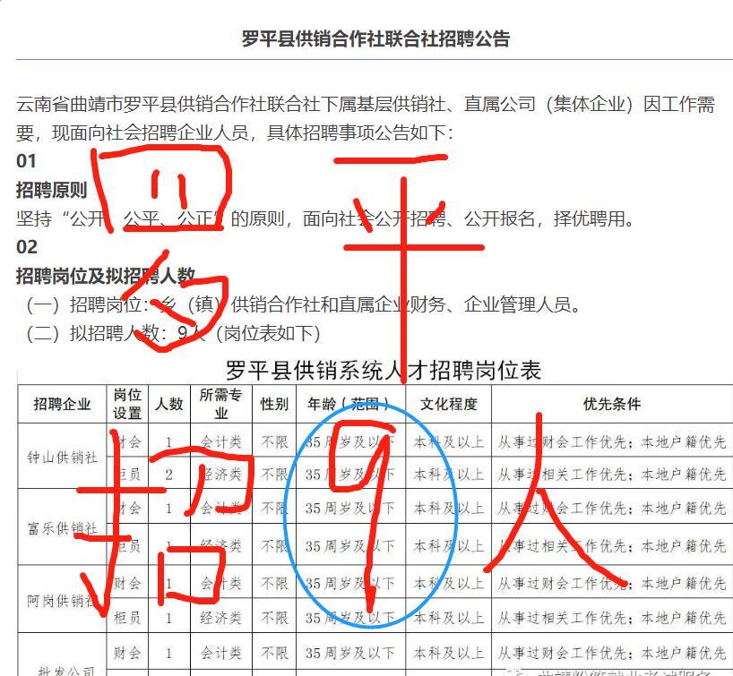 罗普村最新招聘信息全面解析