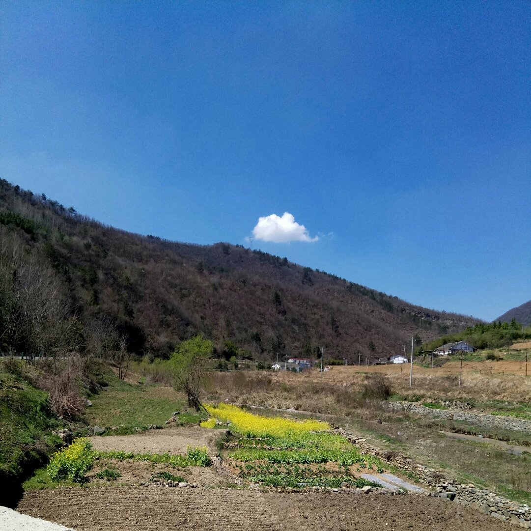 阳邵乡天气预报更新通知