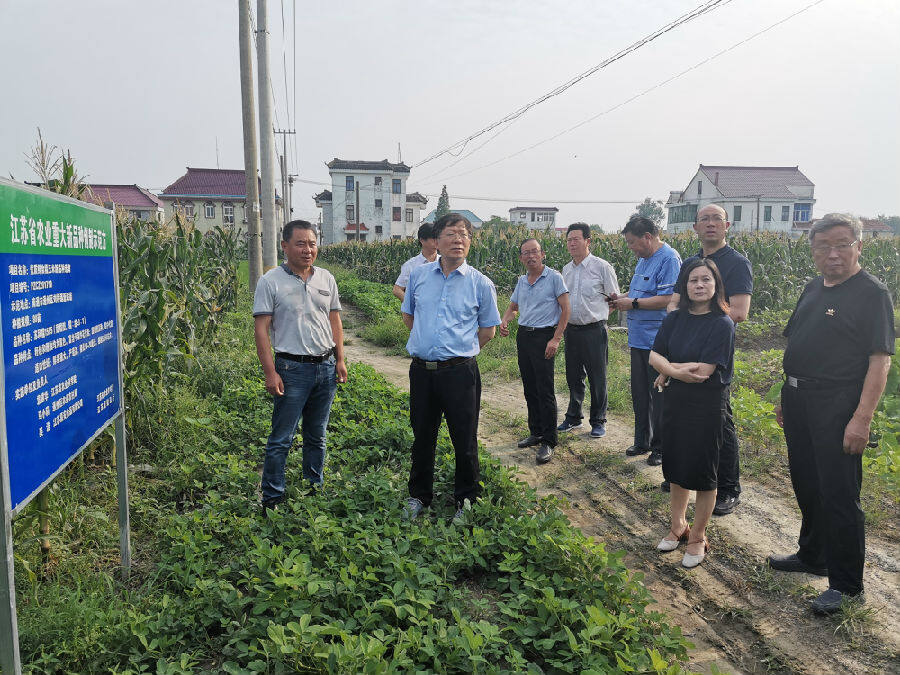 扬中市良种繁育场最新动态报道