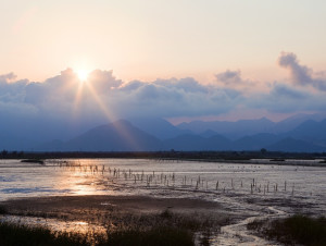 银湖湾湿地公园新项目，重塑自然与城市的和谐共生之道