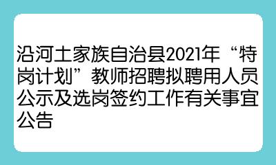 沿河土家族自治县审计局招聘公告及详细信息解读