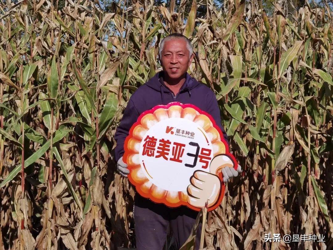 红旗岭农场，发展与创新同步推进的最新动态